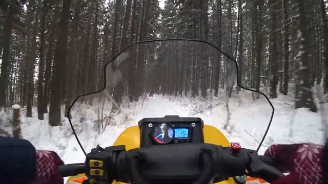 VLOG5/ ПЕРЕВЕРНУЛИСЬ НА СНЕГОХОДЕ смотреть онлайн