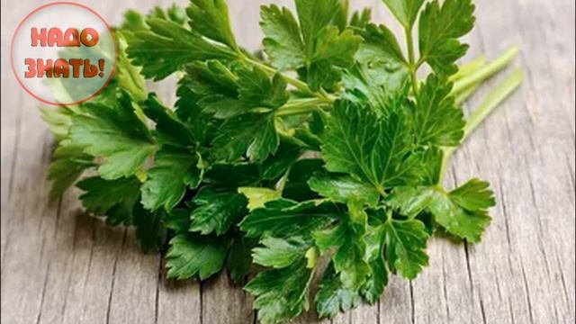 Почему вредна петрушка? смотреть онлайн