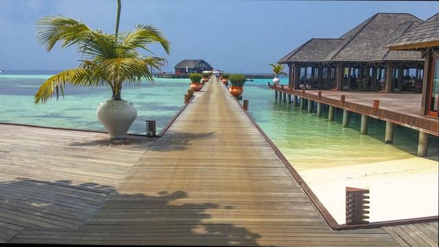 МАЛЬДИВЫ. Красота природы в анимированном слайд-шоу.