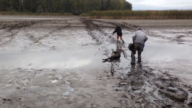 Вот они настоящие Викинги???!!! смотреть онлайн