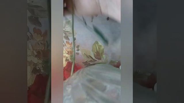 День любви, семьи и верности. Венок из ромашек. смотреть онлайн