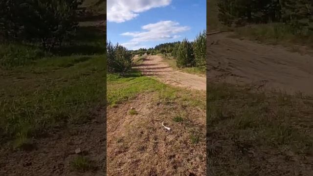 Гонки на мопеде альфа часть2 смотреть онлайн