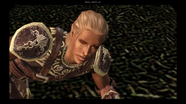 Let's Play (ENG): Dragon Age: Origins 053 смотреть онлайн