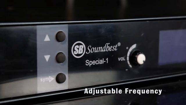 Microphone Wireless Special - 1 Soundbest смотреть онлайн