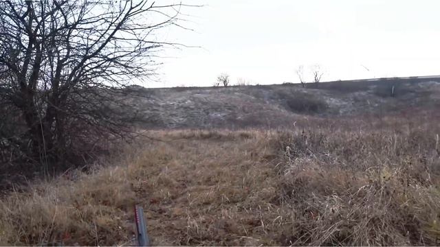 С гончими: как удача зайца стороной обошла, хотя была совсем близко… смотреть онлайн