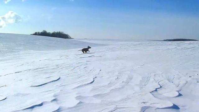 Босиком по снегу.avi смотреть онлайн