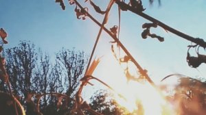 МОНАХ ОТШЕЛЬНИК - ОСЕНЬ (новая песня, лирика 2020)