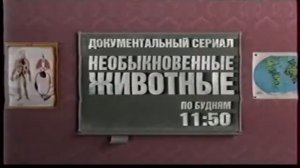Рекламный блок, заставки и часы (Подмосковье, декабрь 2012)