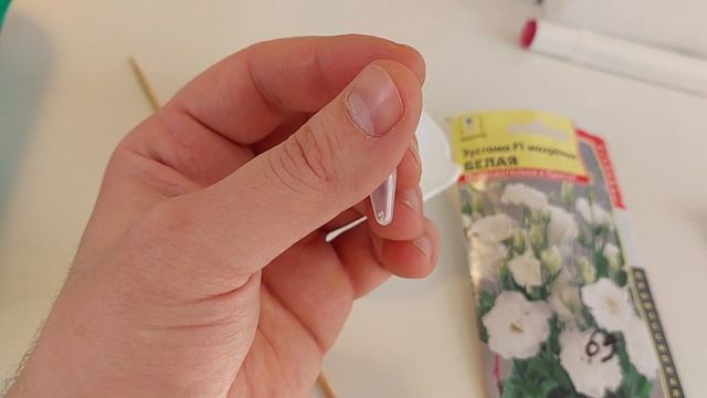 Посадка эустомы семенами в домашних условиях смотреть онлайн