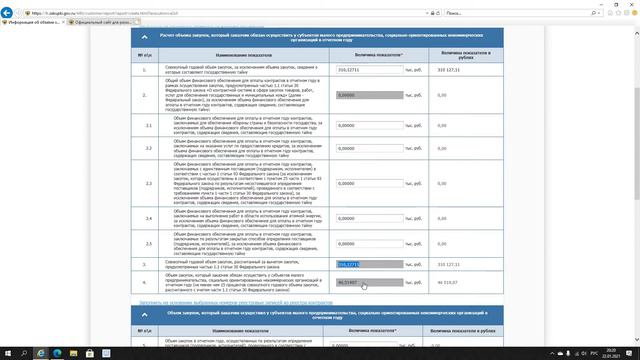 Мой отчет СМП за 2020 год смотреть онлайн