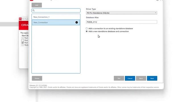 Primavera Project Planner P6: Lesson 36 - P6 Upgrade from Version 19 to Version 21.12 смотреть онлайн