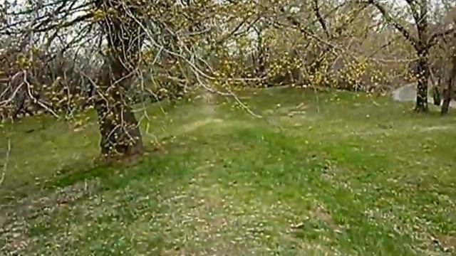 Прогулка по парку "КОЛОМЕНСКОЕ" Москва Апрель 2016 смотреть онлайн