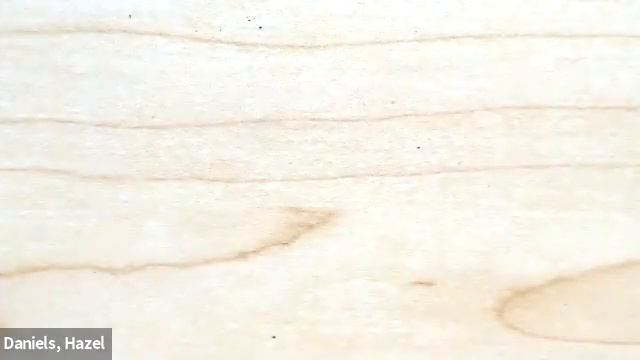 FOR 413: Armillaria ostoyae смотреть онлайн