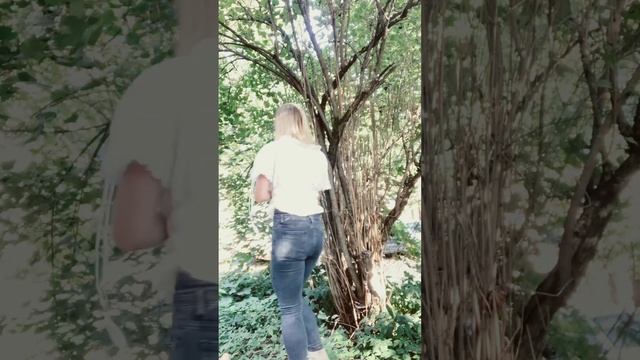 Плачь плачь танцуй танцуй… #плачь #танцуй #рек #trend #dancetrend #dance #рек #тренд #? #осень смотреть онлайн