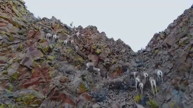 The All-New 2022 Subaru Outback Wilderness
