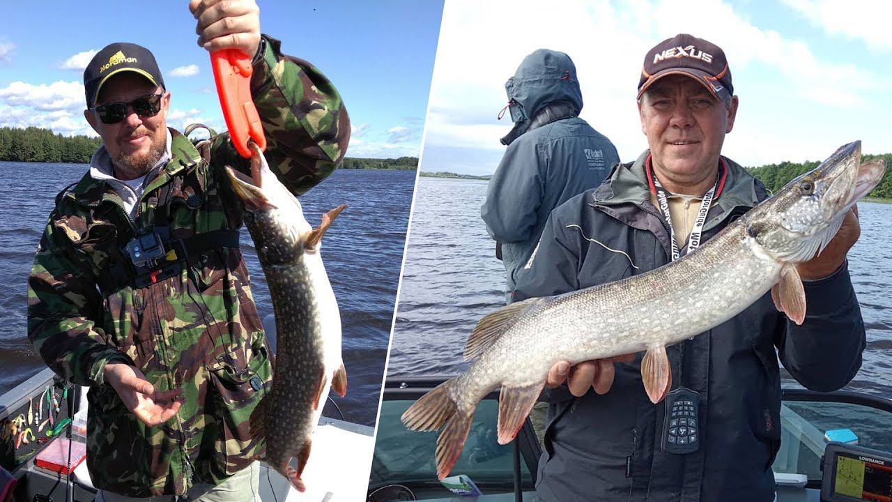 Судачки, берши и щуки на джиг. Рыбалка на спиннинг в августе на средней Волге смотреть онлайн