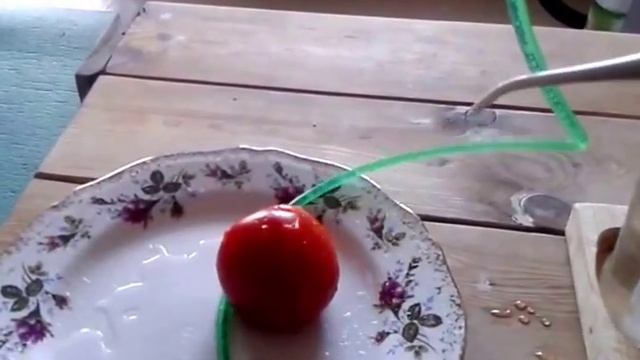 Waterpik Water Flosser DIY FOR 1 DOLLAR смотреть онлайн