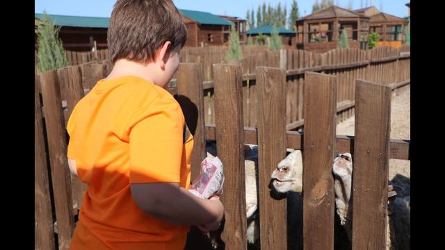 Зоопарк смотреть онлайн