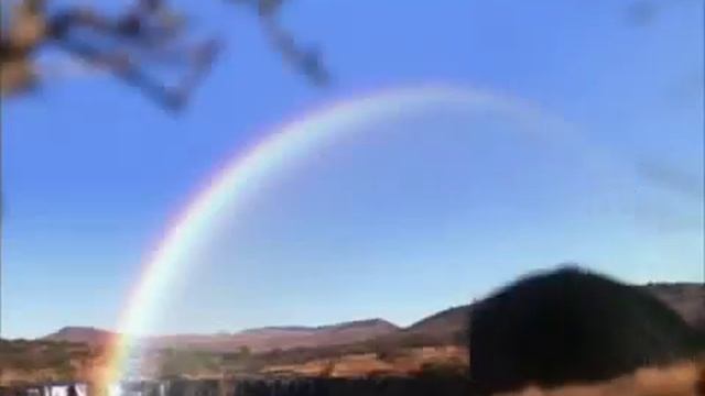 Elephant Tales Trailer смотреть онлайн