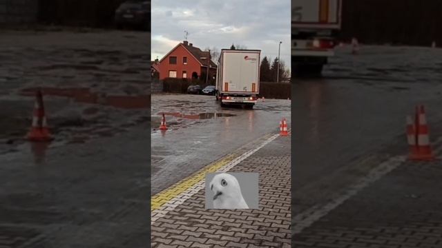 Тест драйв Girteka, Познань. Как сдают тест-драйв в Гиртеке 2021