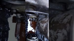 Как поменять сальник на задней плите привода тнвд Камаз 5511