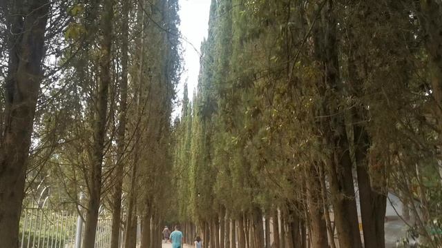 Канака смотреть онлайн