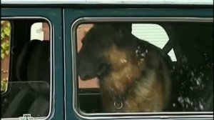 Возвращение Мухтара 2. Гитара дона Наварро