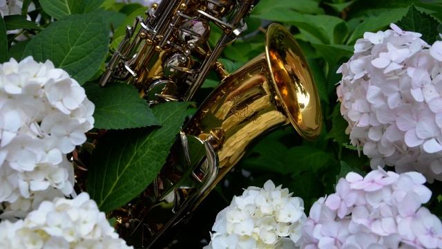 Romantic Saxophone Golden Saxophone Gil Ventura   Superstar     (159) АК SAX MUSIC