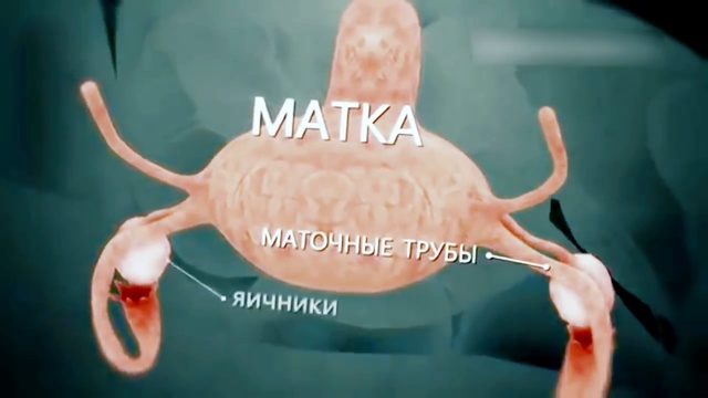 Ооруну колубуз менен сезебиз..-Дабагер