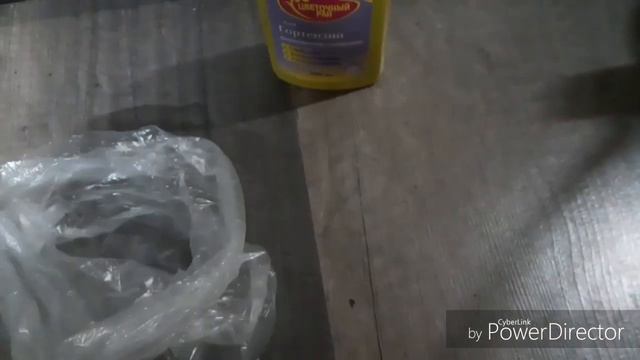 Мои гортензии на 27 ноября. смотреть онлайн