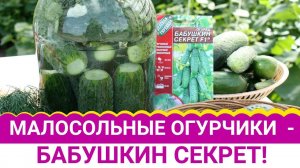 Малосольные огурчики  -  Бабушкин секрет!