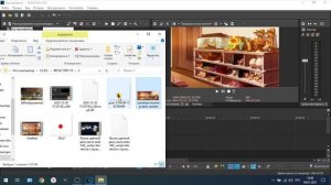 Вставка картинки на фон в Видеоредакторе VEGAS Pro 18 Урок3 Видеомонтаж с нуля