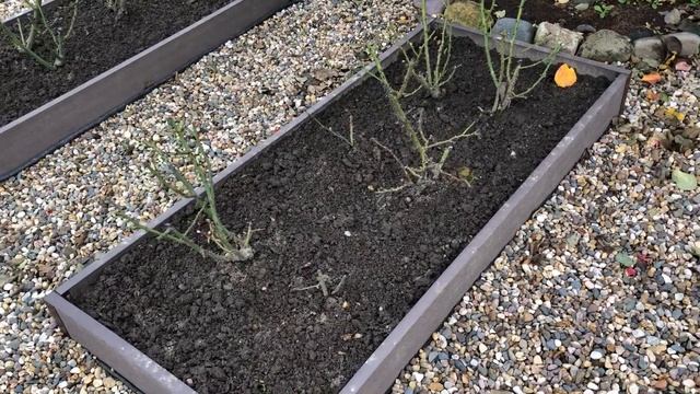 Устройство моего розария. смотреть онлайн