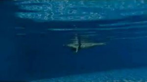 Фигура в синхронном плавании "Рыба-меч с прямой ногой"