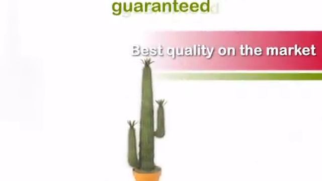4 foot Artificial Saguaro Cactus - artificialplantsandtrees.com смотреть онлайн