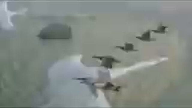 ЖУРАВЛИ НА ПОЛЕСЬЕ ЛЕТЯТ АНДРЕЙ КОНДАКОВ смотреть онлайн