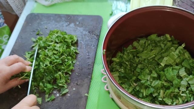 Зелёные щи из крапивы, сныти и щавеля. смотреть онлайн