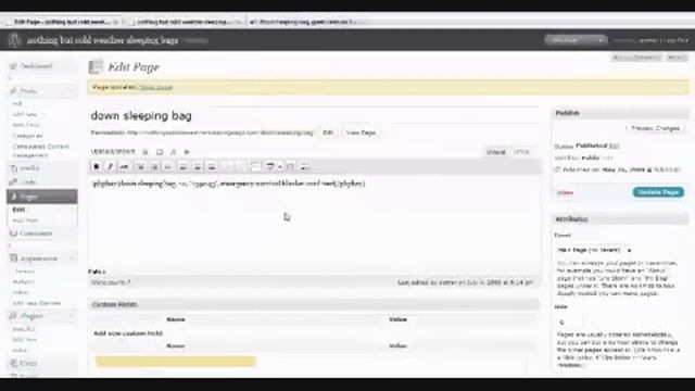 Wordpress eBay Plugin Review - Add eBay Auctions to Your Blog смотреть онлайн