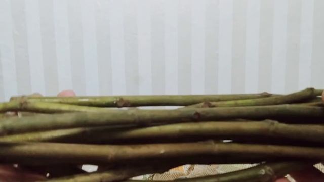 Как сохранить черенки инжира для укоренения!!! смотреть онлайн