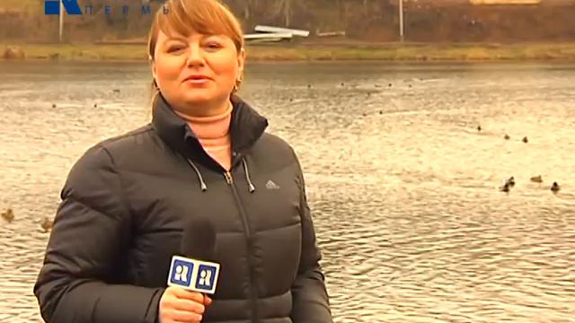 Дежурный по городу 15/11/13 смотреть онлайн