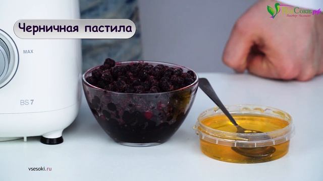 Фруктовая пастила. 5 сыроедческих рецептов для вертикального дегидратора Lequip D-Cube
