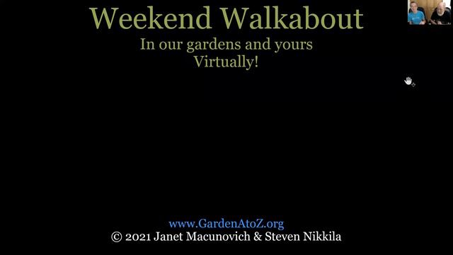 WeekendWalk66PreWebQ&A смотреть онлайн