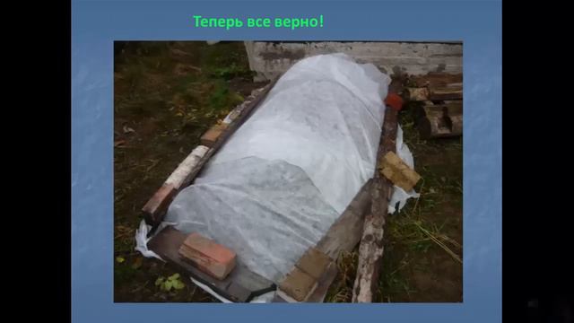розы это просто смотреть онлайн