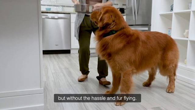 Dental Fresh Жидкость для чистки зубного камня у собак и кошек смотреть онлайн