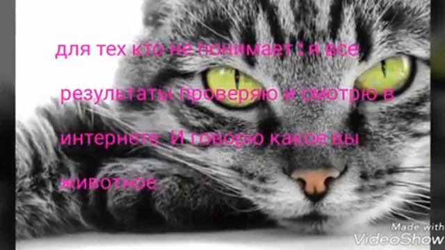 Тест : какое ты животное? смотреть онлайн