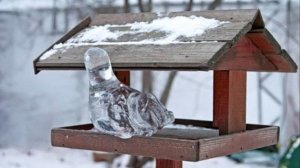 Замерзшая (ДДТ. Люби всех нас, Господи, тихо)