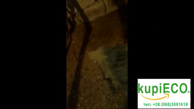 Бройлер. 1,5 года я не убираю. Смотрите что произошло! смотреть онлайн