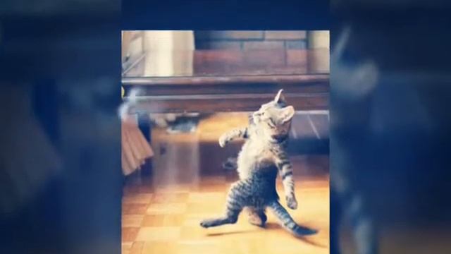 Что скрывают от нас кисты???? смотреть онлайн