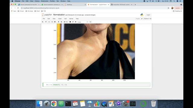 Normalization in Face Recognition with Dlib Facial Landmarks смотреть онлайн