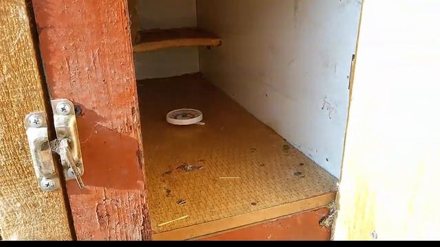 ЗИМНИЙ МАТОЧНИК для кроликов смотреть онлайн